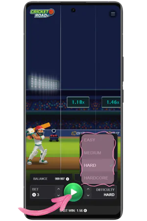 Cricket Road difficulty level selection screen