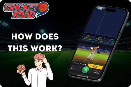 Cricket Road batting crash mechanics diagram