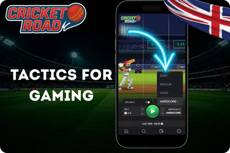 Cricket Road Tactics for Better Gaming
